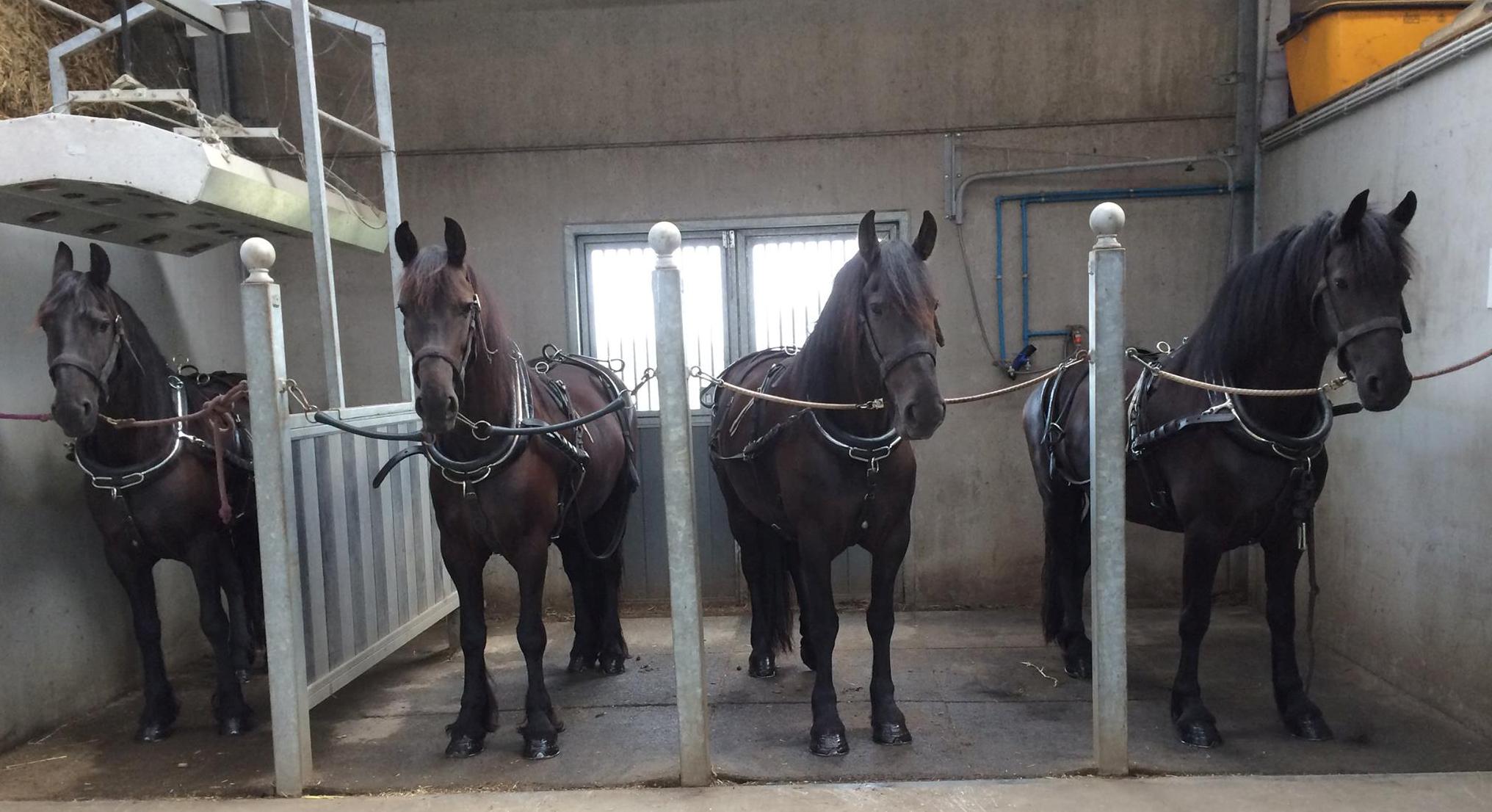 De Draver solarium wasplaats
