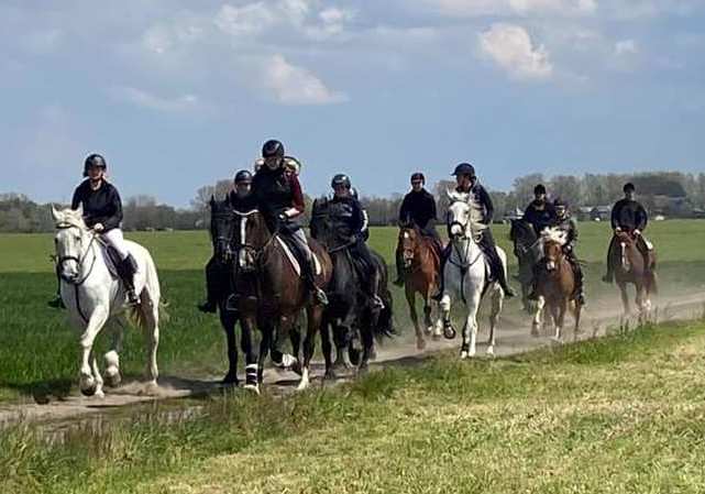 Den Draver wandelingen 2